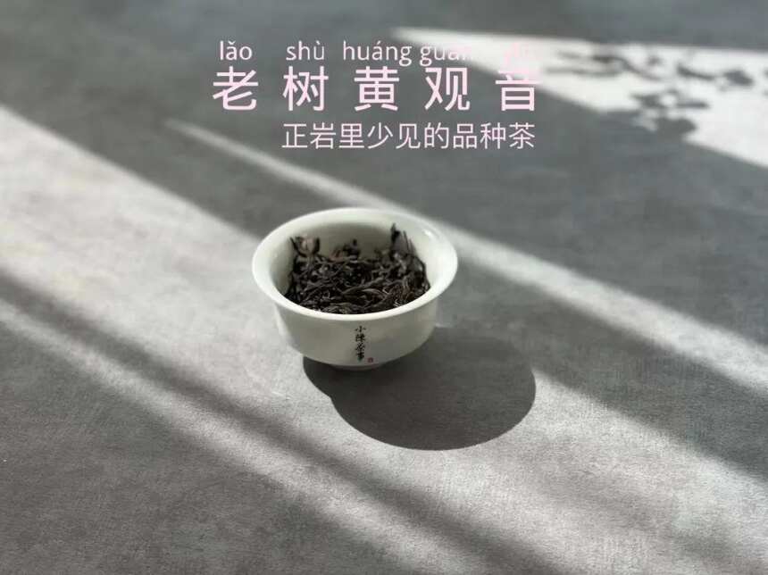 喝岩茶时，如何分清黄观音和肉桂？4点干货，都是多年经验总结