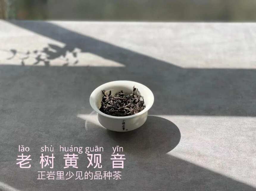 喝岩茶时，如何分清黄观音和肉桂？4点干货，都是多年经验总结