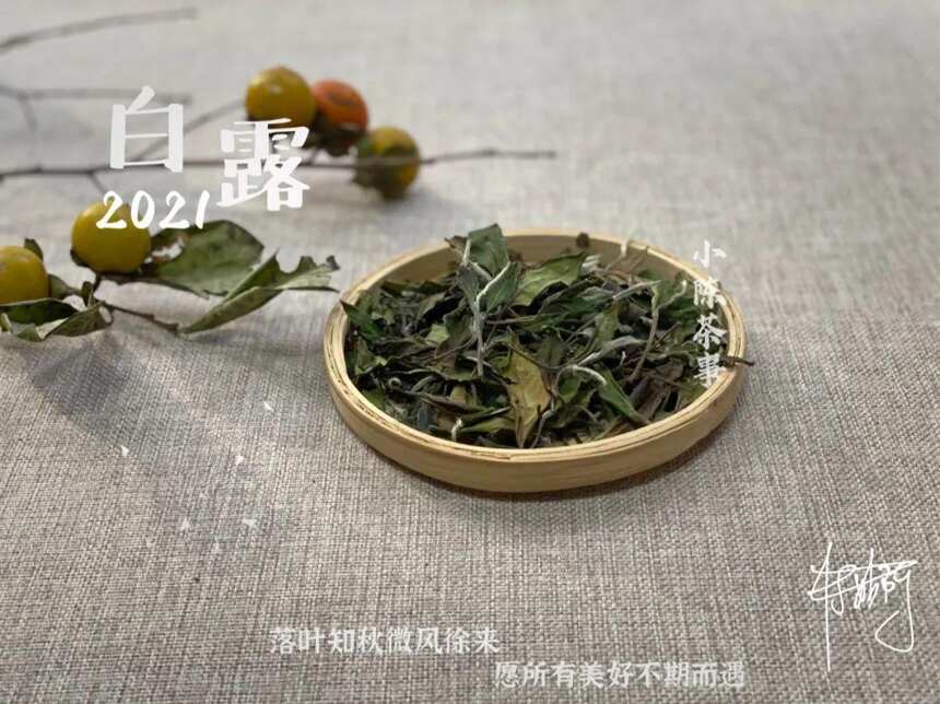 秋天适合喝什么白茶？春茶，秋茶，或是老白茶？一篇文章说清楚