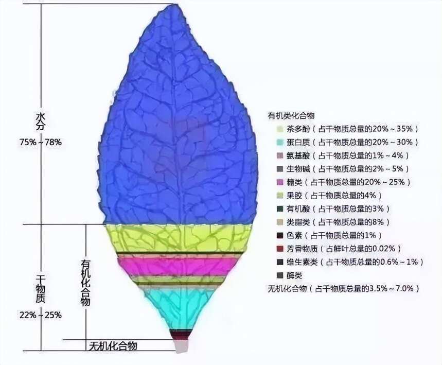 最全入门茶知识（一篇就够了）