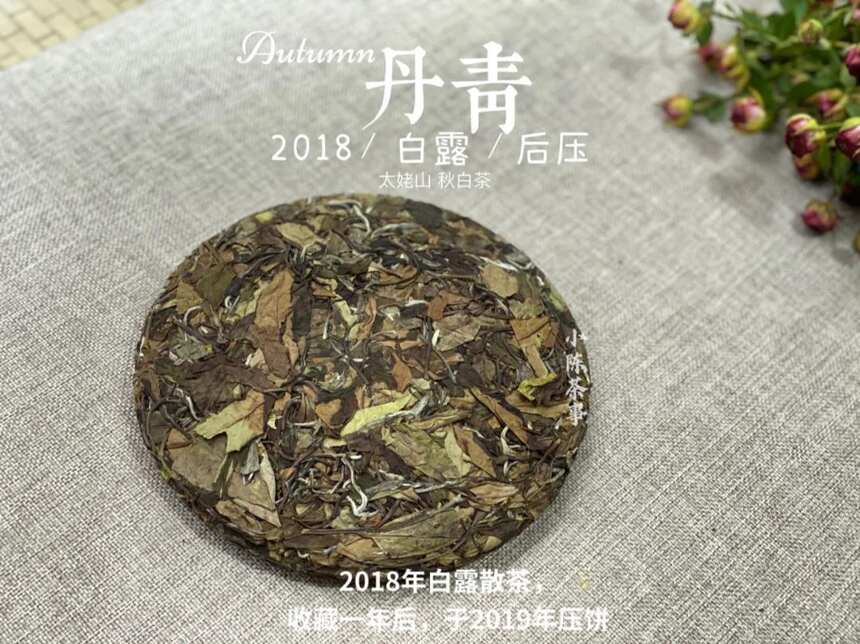 秋天适合喝什么白茶？春茶，秋茶，或是老白茶？一篇文章说清楚