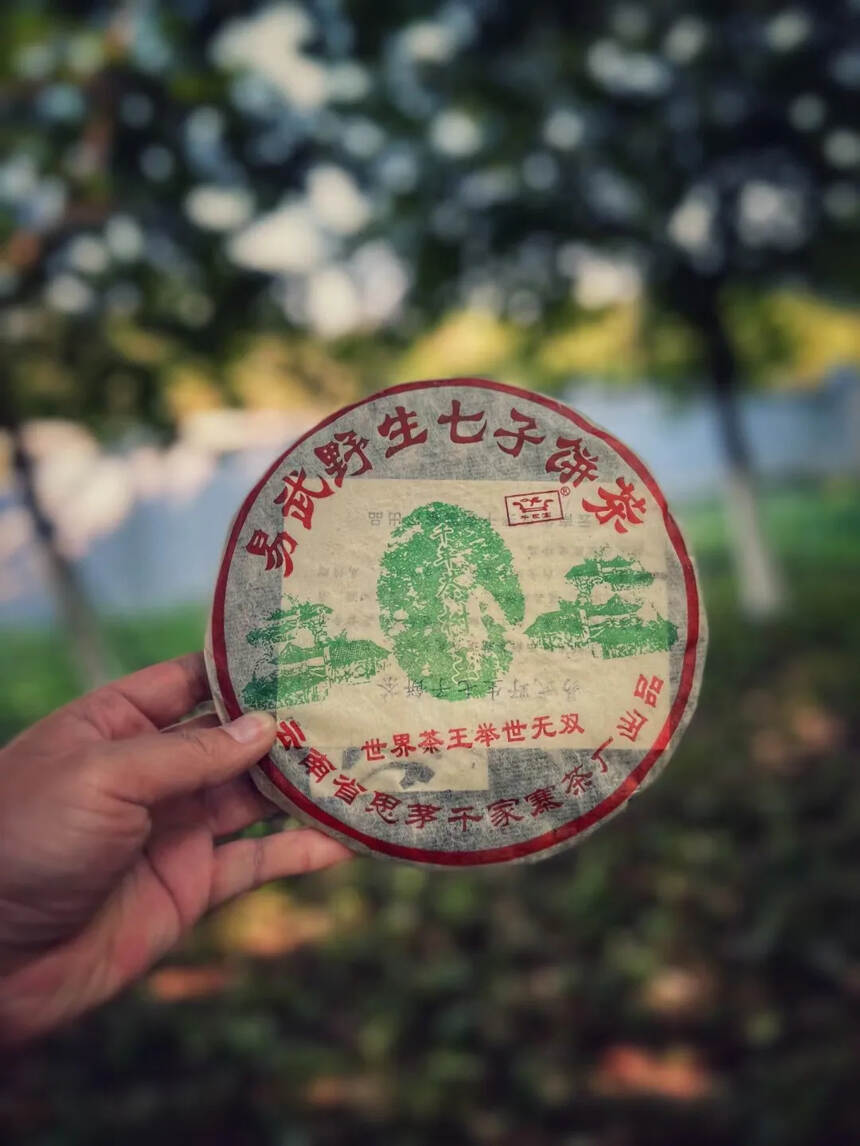 千年茶树王思茅千家寨生饼
规格:357克/片
茶汤吞