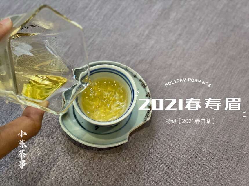 秋天适合喝什么白茶？春茶，秋茶，或是老白茶？一篇文章说清楚