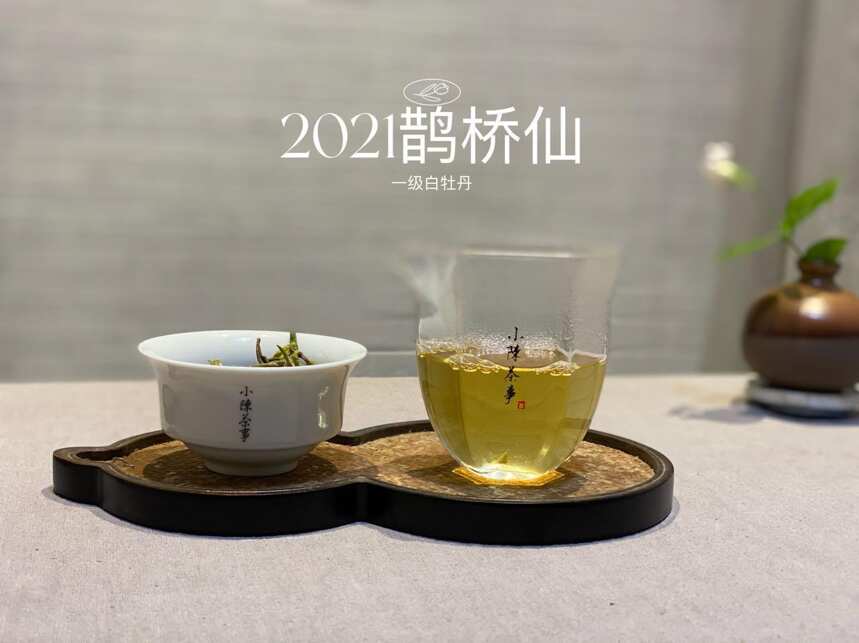 秋天适合喝什么白茶？春茶，秋茶，或是老白茶？一篇文章说清楚