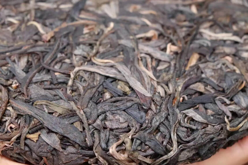 秘境古树2019春，200克饼茶，6公斤一件，香气高