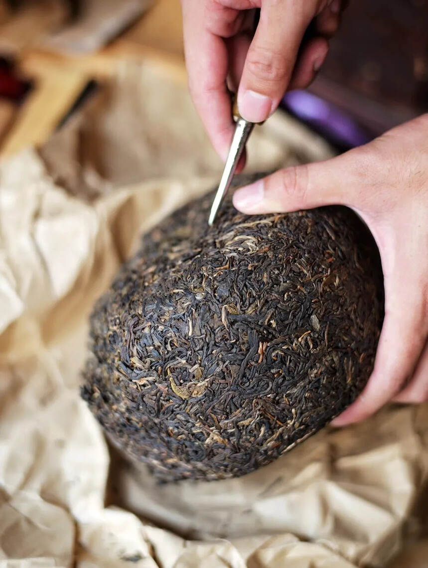 #普洱茶# 2009年|班章纯料大树金瓜生茶，2公斤