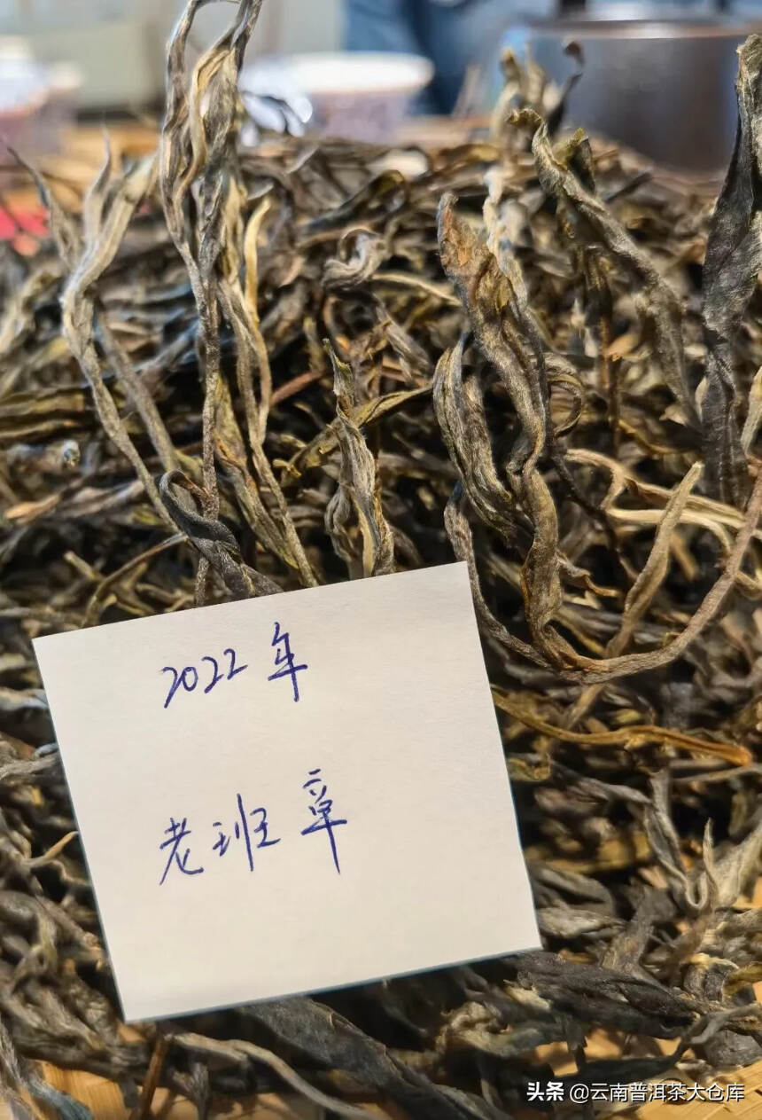 2022年头春老班章
#普洱茶# #茶生活# #北京