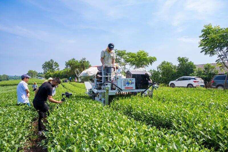 茶园机械化作业技术与装备现场交流会在浙江金华召开