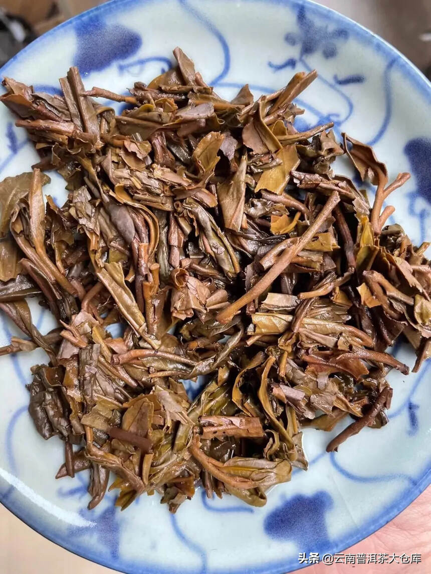 #普洱茶# 03年福海老班章古树青饼，高级品茶味浓郁