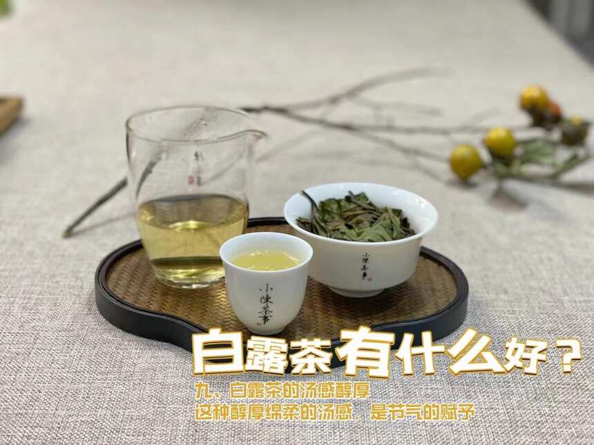 秋白茶里，白露茶为什么这么好喝？9点幕后真相你能猜对多少？