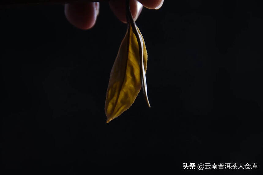 2022年拔玛古树茶
甜而不腻，涩而不滞，齿颊津甜，