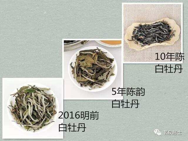 白茶怎么存