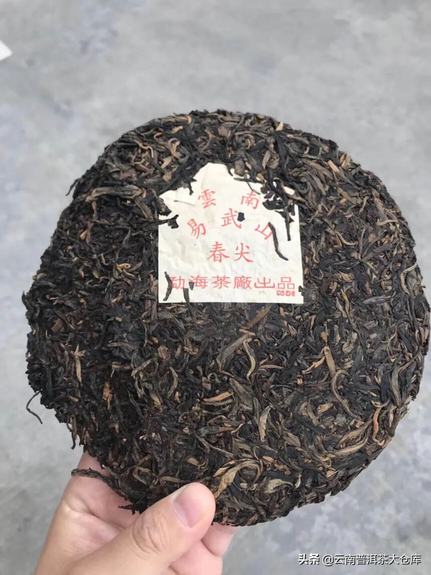 99年首批易武山春尖，勐海飞原勐海茶厂厂长阮殿蓉早期