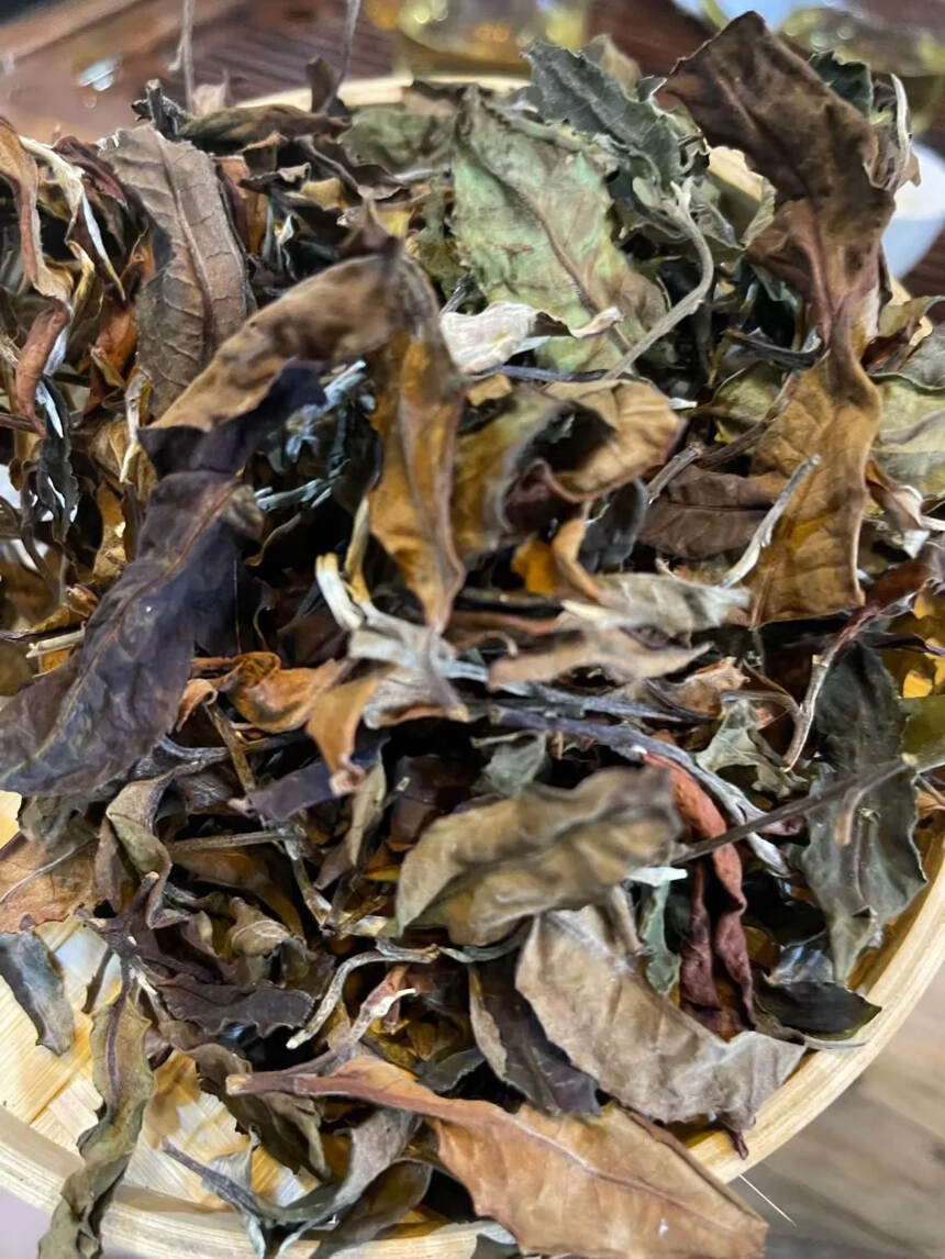 #普洱茶# 2020年帕沙古树白茶。茶农一手货源，甜