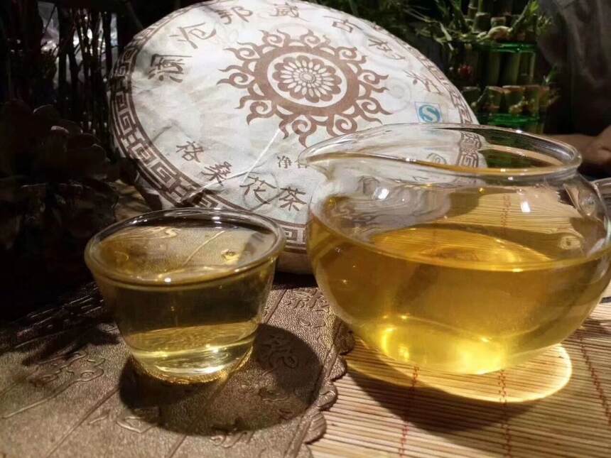 #普洱茶# 2015年邦崴古树茶，香气高，回甘好，纯