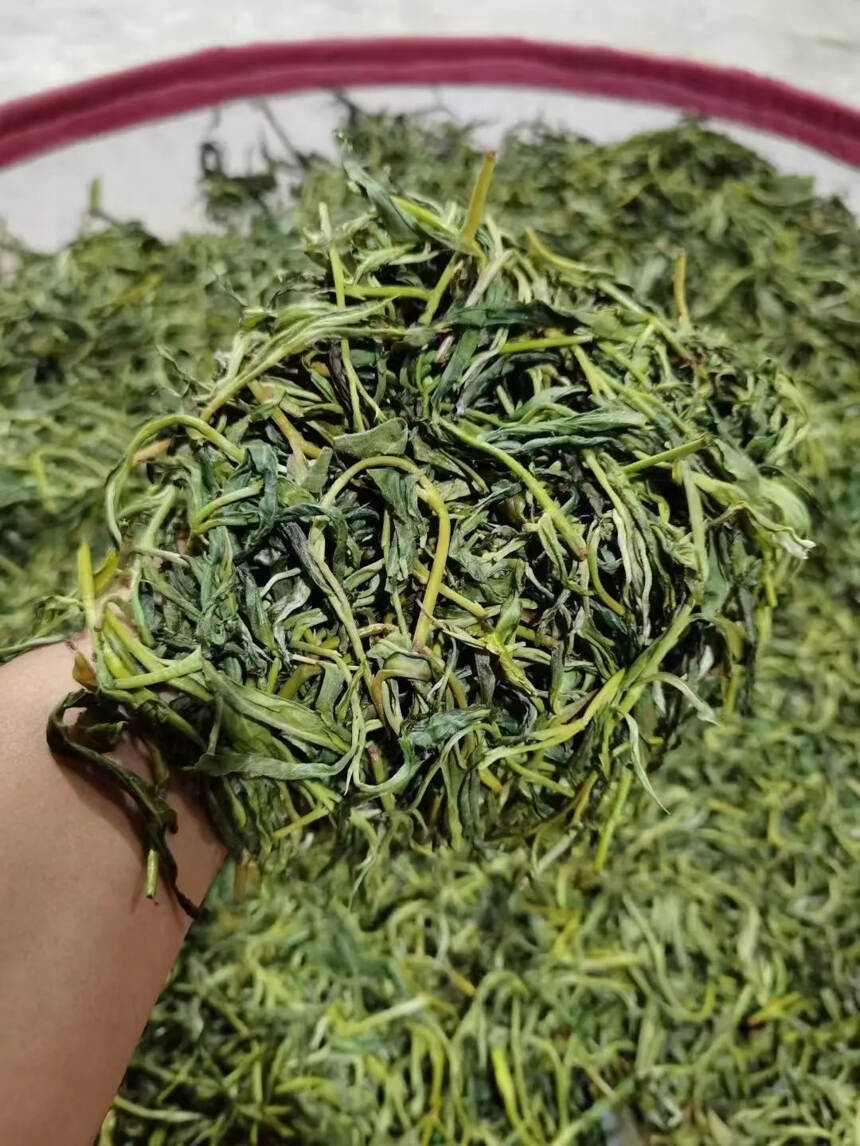 犀牛塘古树茶的条索紧结肥壮，芽叶饱满，茶毫显露，呈褐