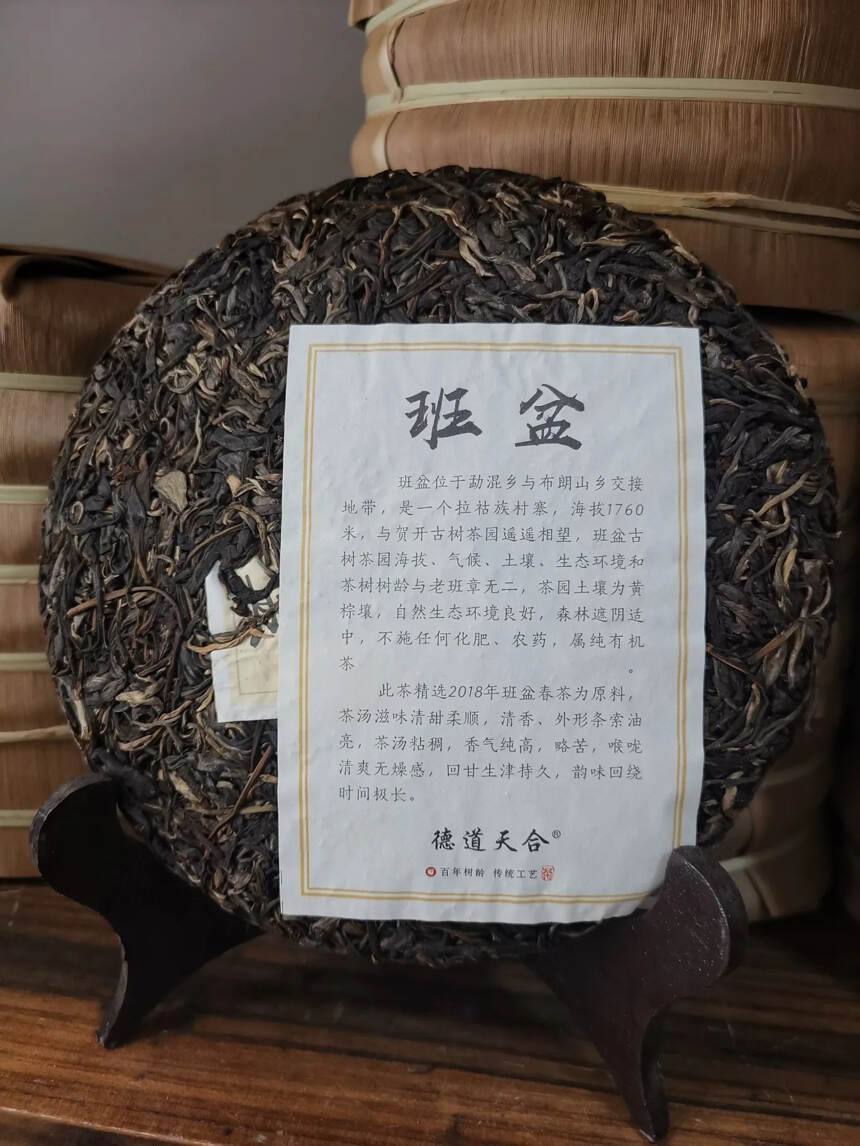 #普洱茶# 2019年班盆古树茶树干粗壮，茶树上寄生