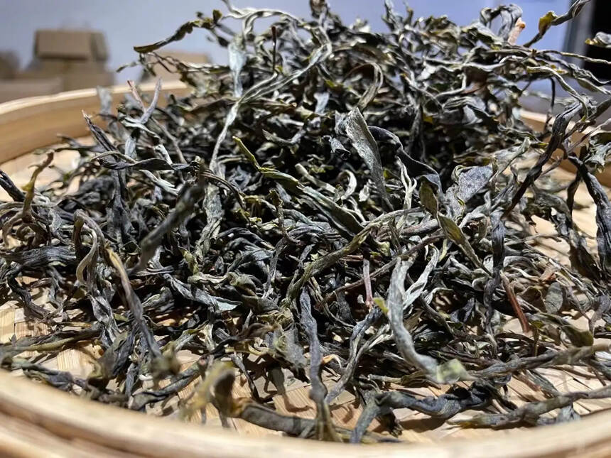 #普洱茶# 2022年蟒蛇箐，花果香。
