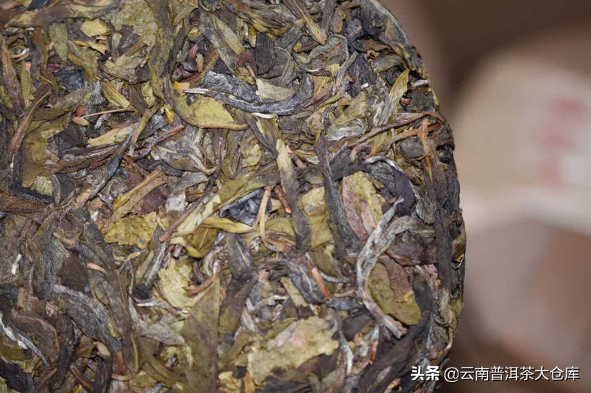 好茶需要好原料！#普洱茶# 
2019年易武麻黑古树