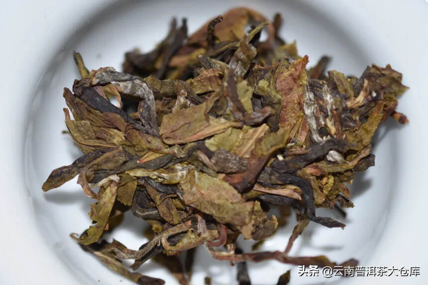 好茶需要好原料！#普洱茶# 
2019年易武麻黑古树