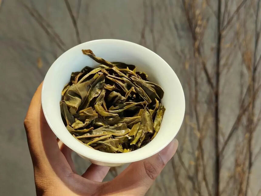 2021帕沙纯料大树茶，特别好喝，没有苦涩味，回甘生