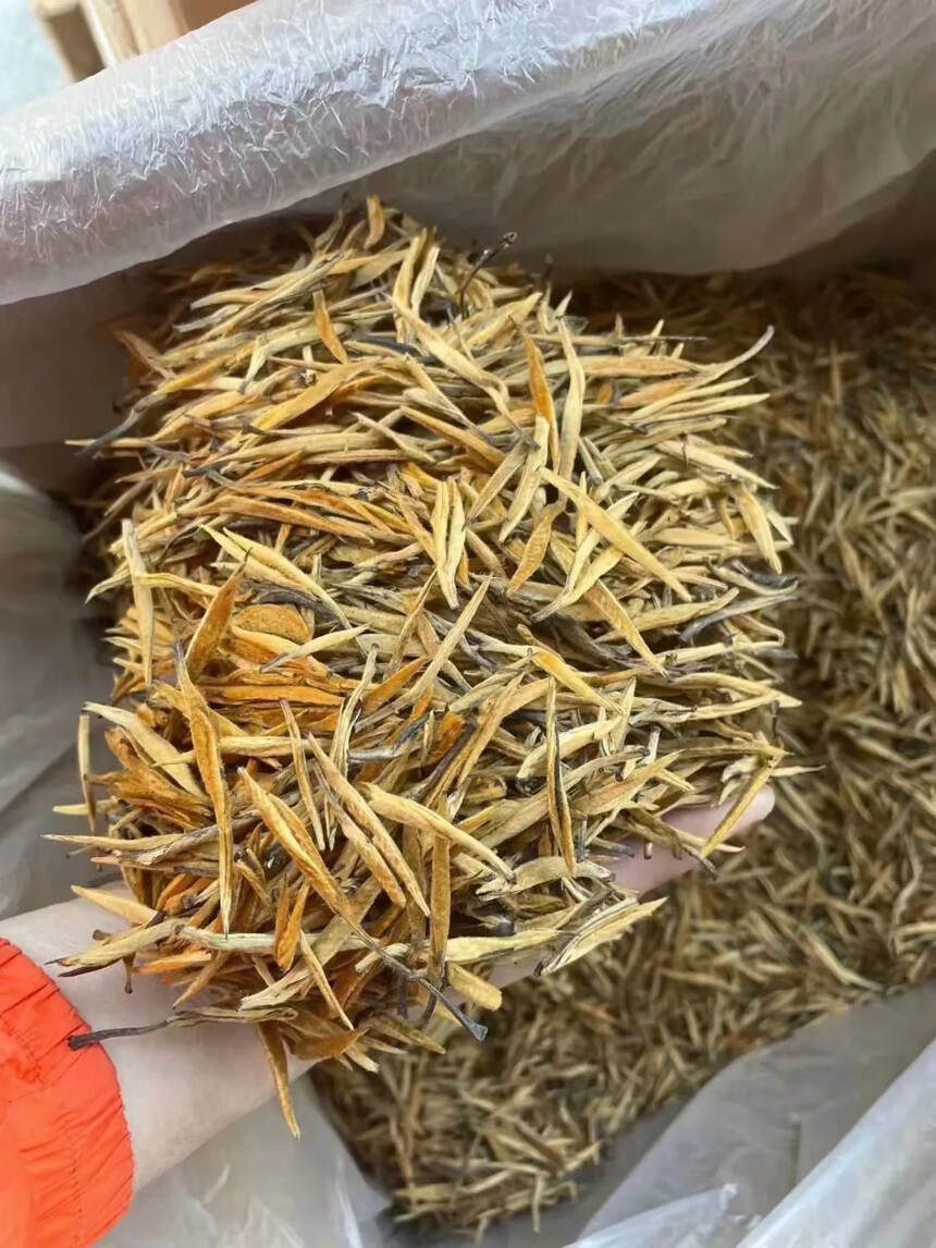 新鲜出炉?头春茶云南滇红大金针
甜度鲜爽的极好，一箱