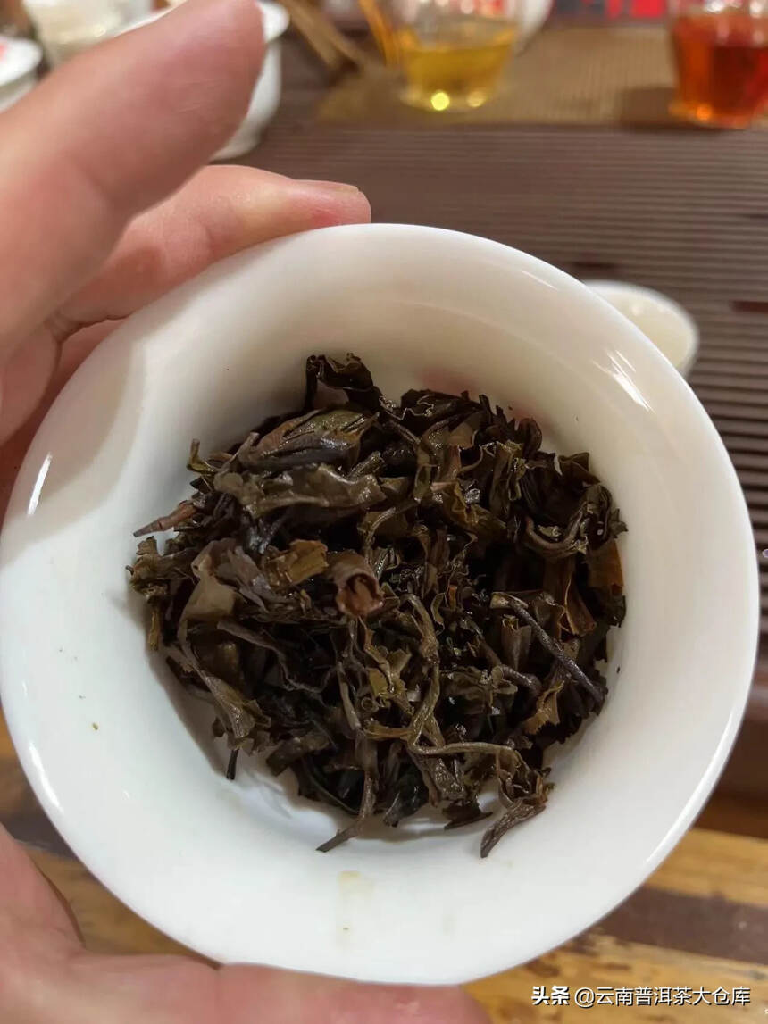 90年代易武正山古树茶宝塔#普洱茶# #茶生活#