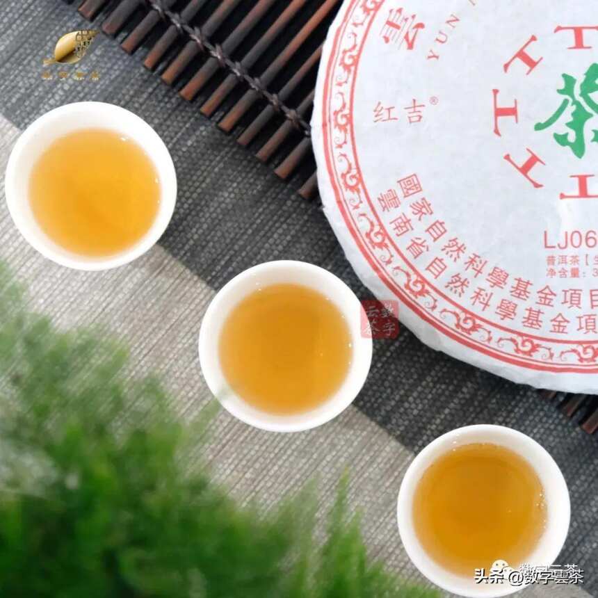 关于普洱茶，让你茅塞顿开的几个问题