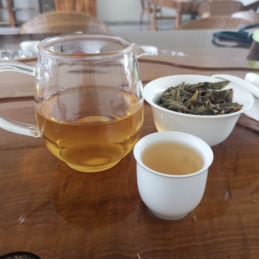 #普洱茶# 南糯山半坡老寨古树茶秋茶，环境生态。