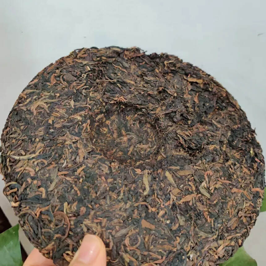 05年六大茶山 八千里马帮驮茶原用春茶芽头撒面，茶气