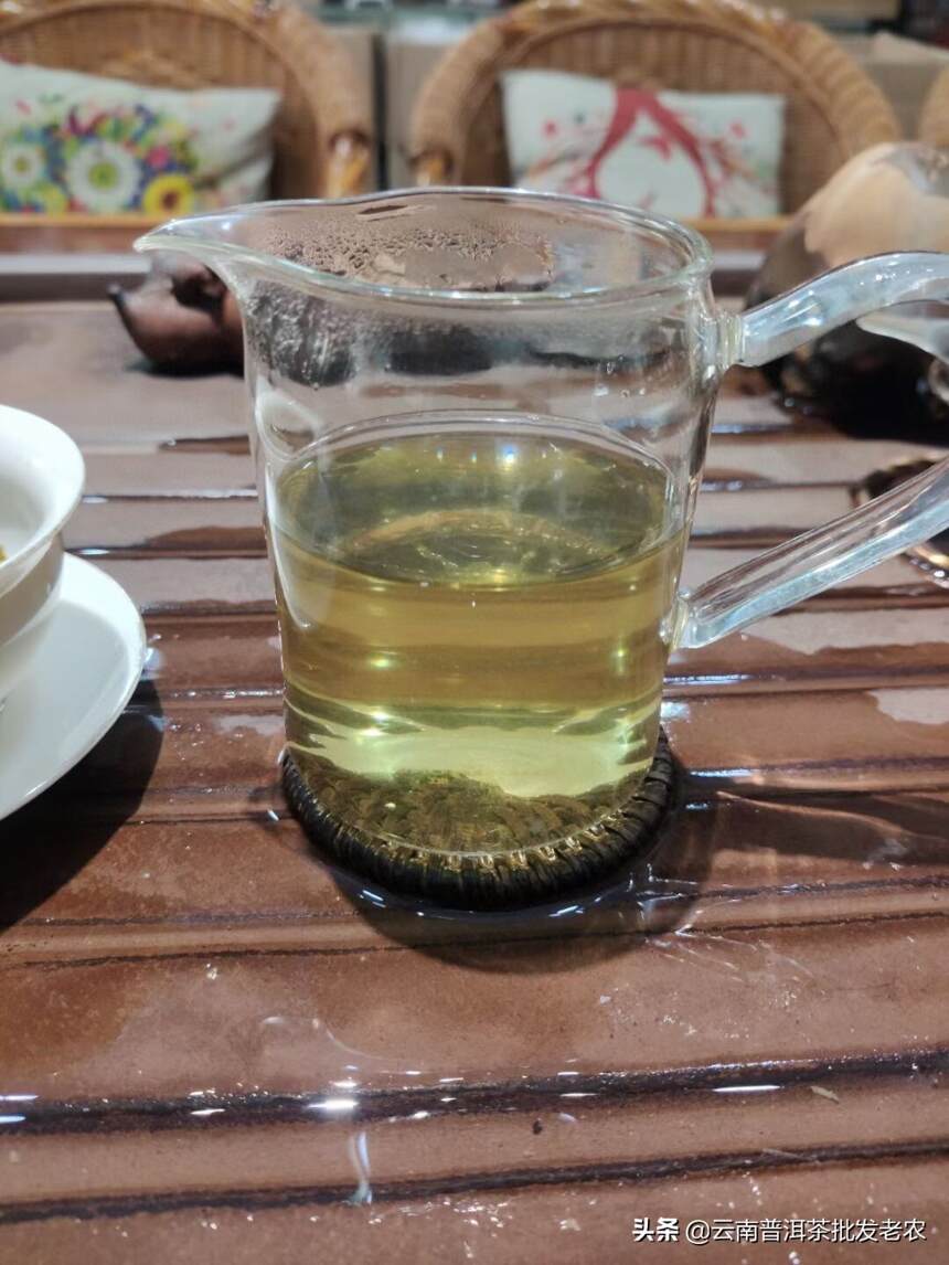 倚邦曼拱头春古树茶
中小叶种古树茶 条索黑亮较短细、