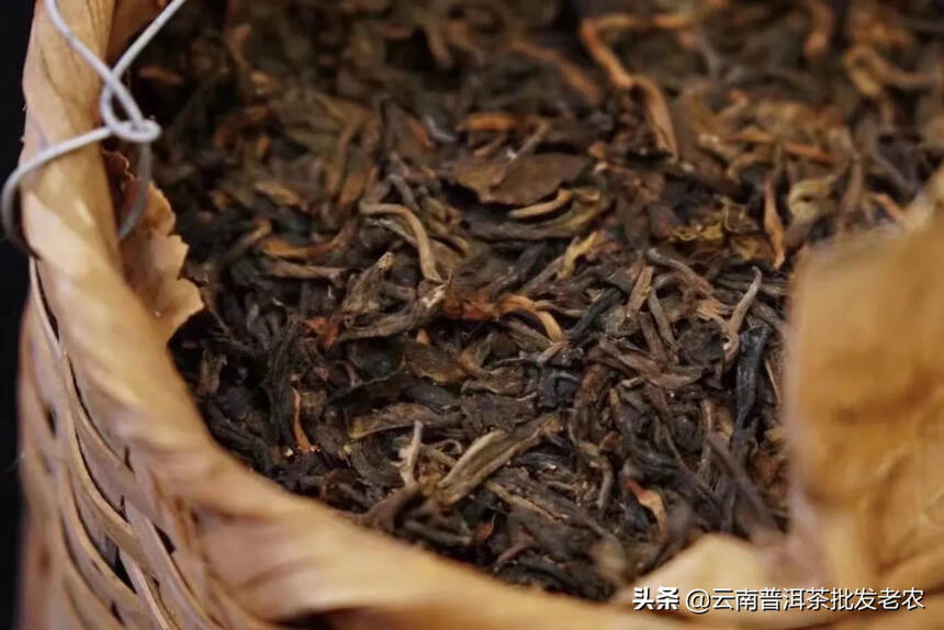 90年代茶柱布朗古树2000克老生茶，樟香很好，回甘