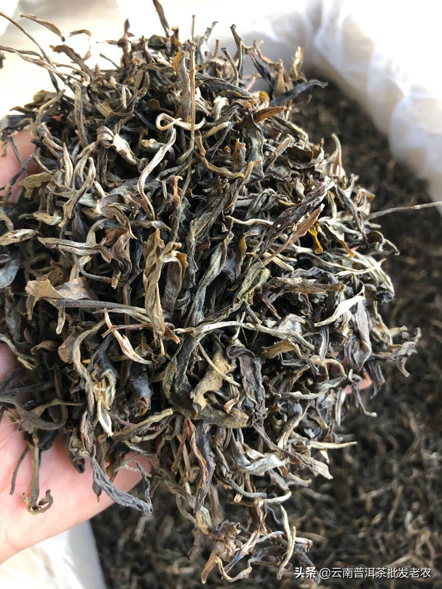 09年班盆古树散茶，昆明干仓储存，干茶香甜度，一公斤