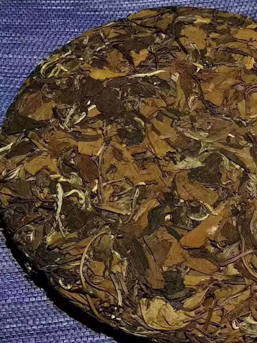 ??

 2015年老白茶！正综福鼎白茶，茶底條索粗