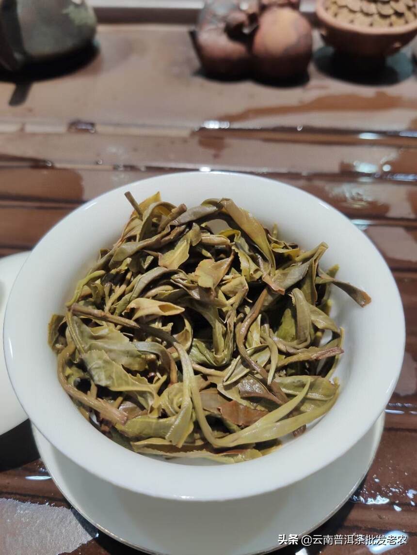 倚邦曼拱头春古树茶
中小叶种古树茶 条索黑亮较短细、