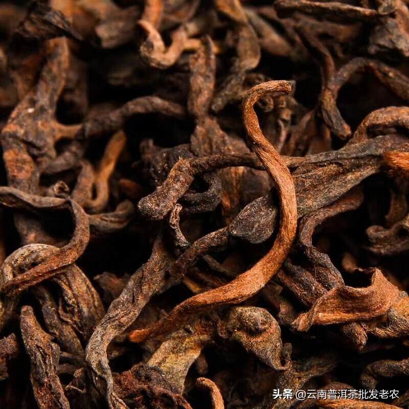 2020年春茶班章发酵古树茶，木板离地发酵#普洱#