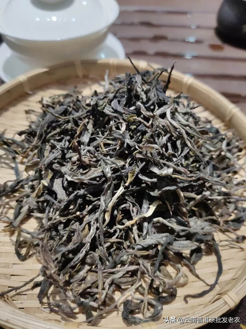 倚邦曼拱头春古树茶
中小叶种古树茶 条索黑亮较短细、