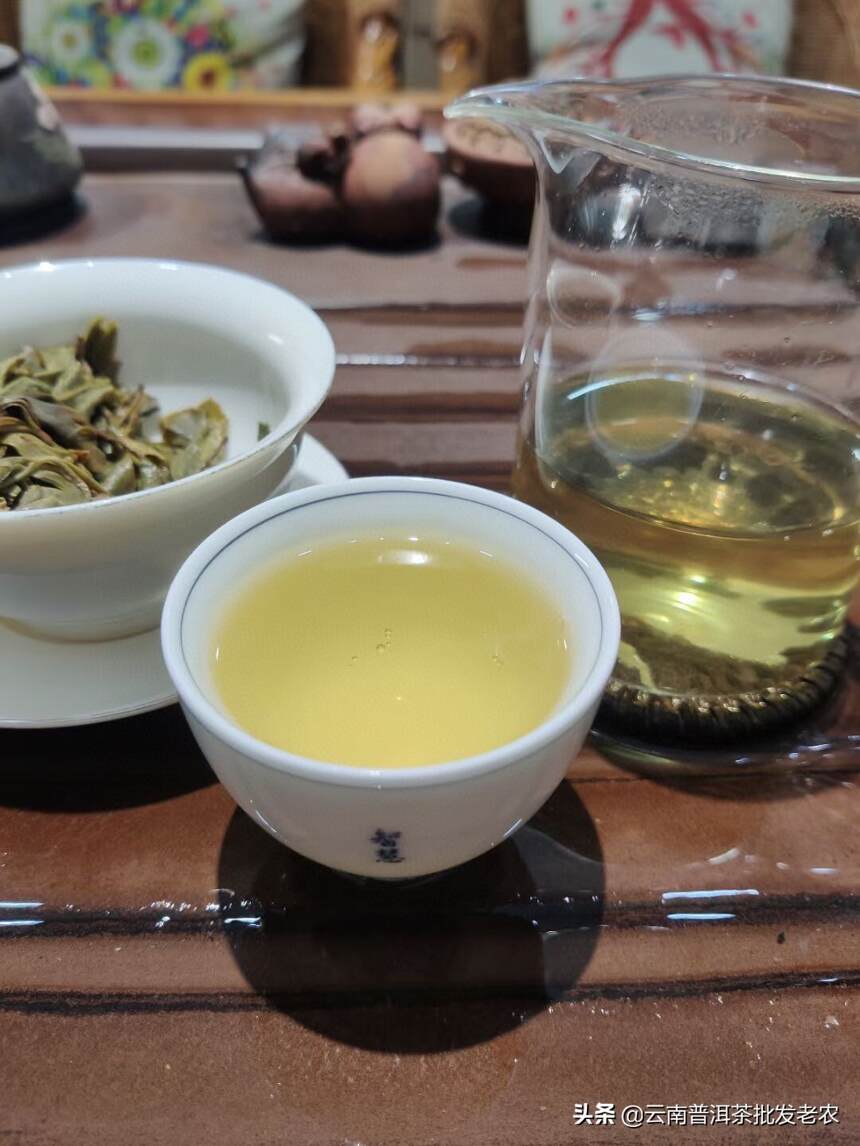 倚邦曼拱头春古树茶
中小叶种古树茶 条索黑亮较短细、