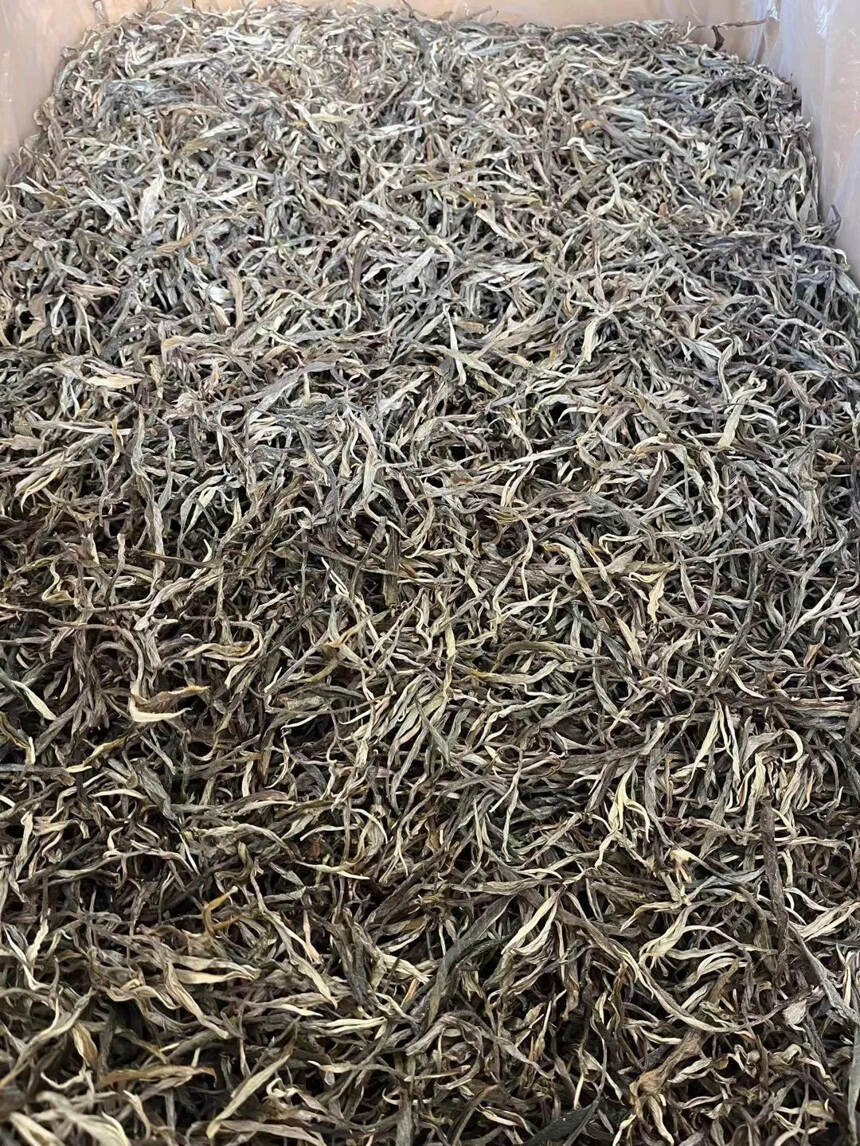 普洱妖茶—广别老寨
2021年广别老寨的春茶
广别之