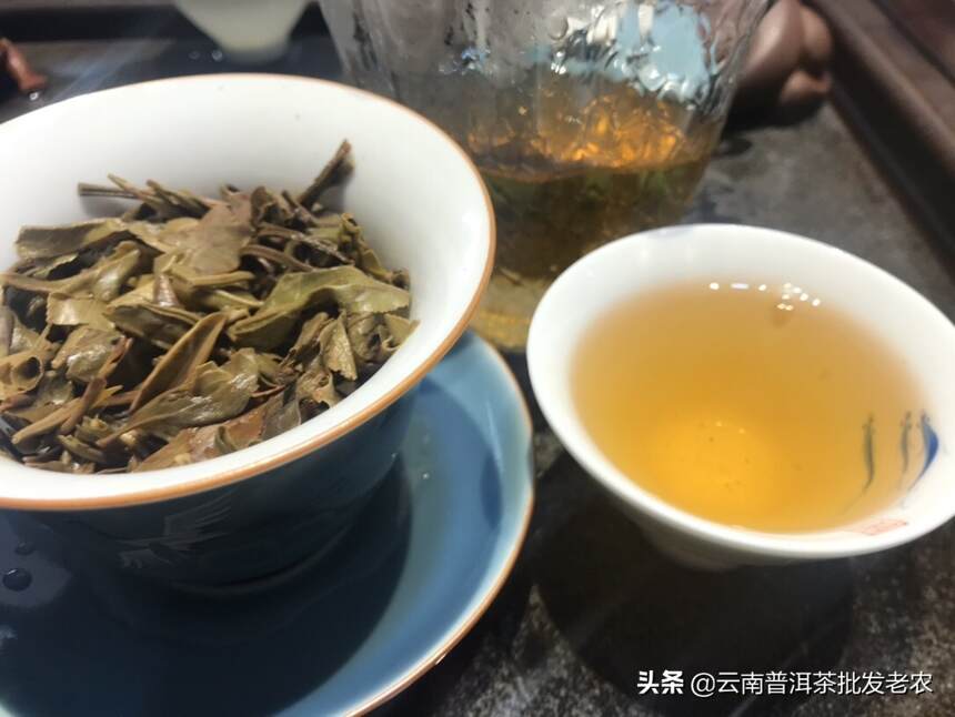 2012年曼松古树茶1000克金瓜生茶