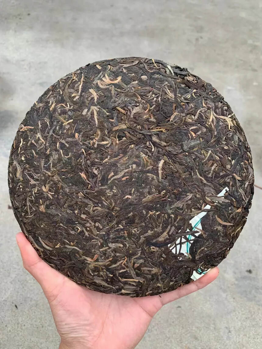 2015年天茗茶厂老班章青饼老树茶选料，数量非常少只