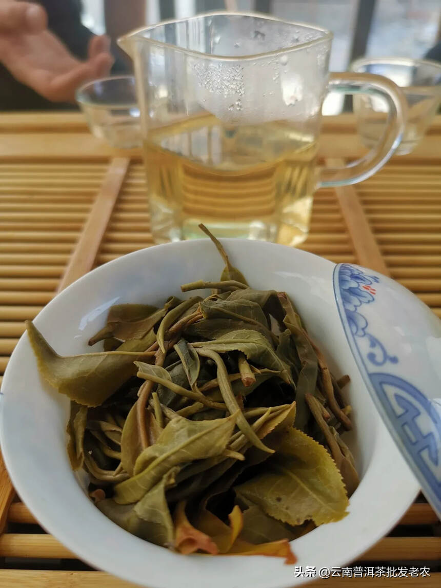 班章春茶，4月9日采摘，少量到货！欢迎品饮！
3泡上