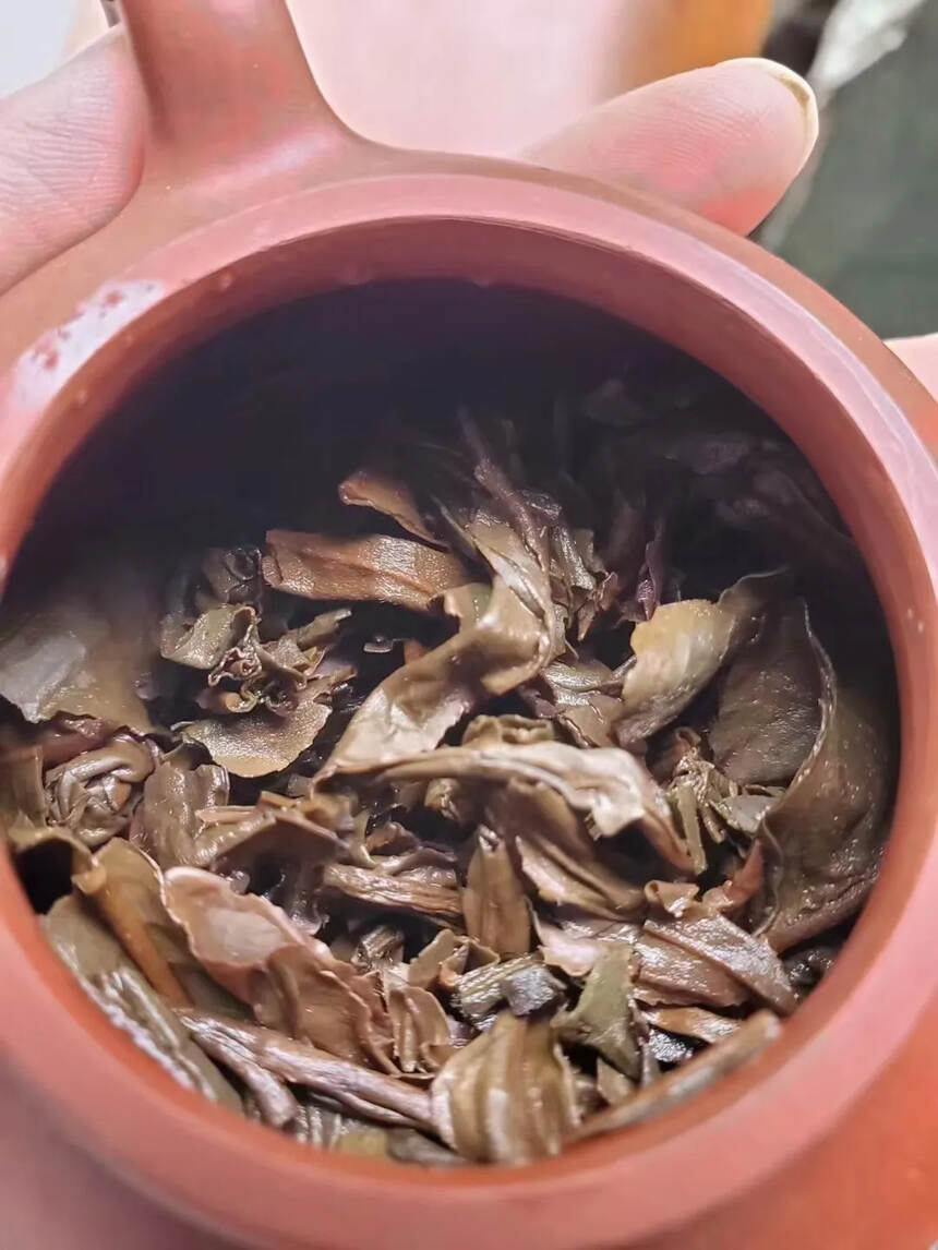 90年代，中茶红印青饼，格纹纸，干仓陈味已显，生津回