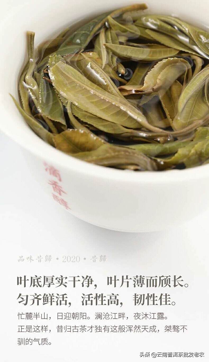 勐傣茶厂 2020年昔归 古树纯料普洱茶生茶饼 20