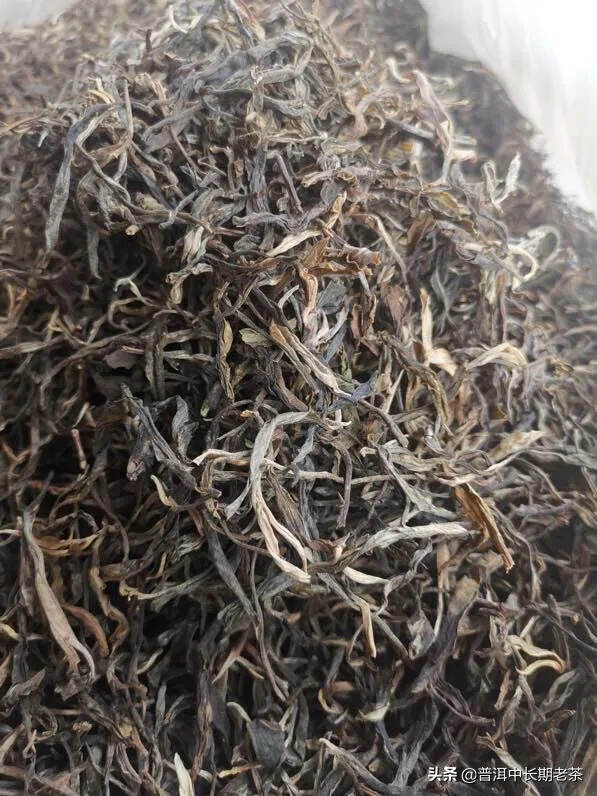 2019年缅甸古树茶会带来感觉丰富的口感，且感受到一