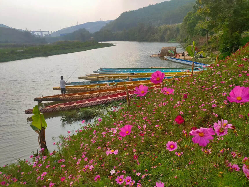 云南德宏傣族景颇族自治州芒市大河畔，说是大河，其实没