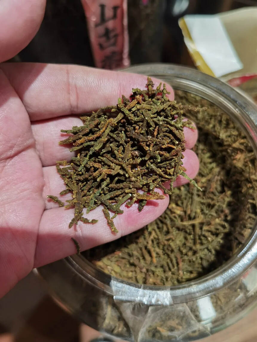 景迈螃蟹脚，均匀芽头。汤厚甘甜，煮着喝更甜。炖鸡喝汤