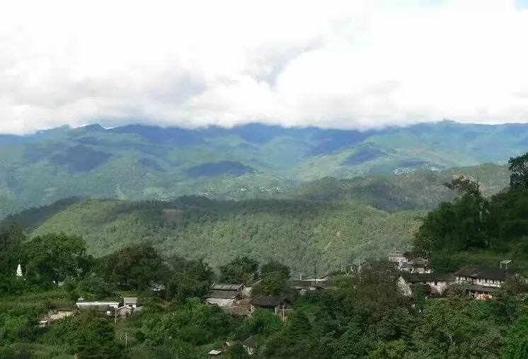 勐库大雪山
古茶树群落就分布在大雪山海拔海拔2200
