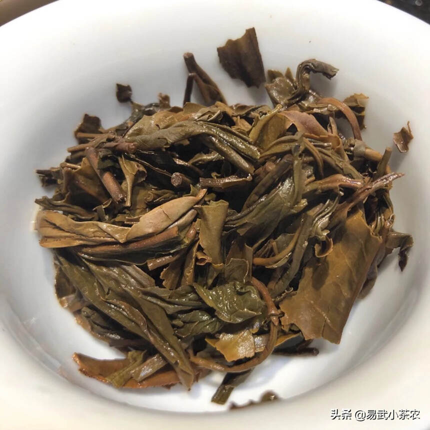 98年橙中橙黄印老生茶#普洱茶# 
布朗纯料金印古树