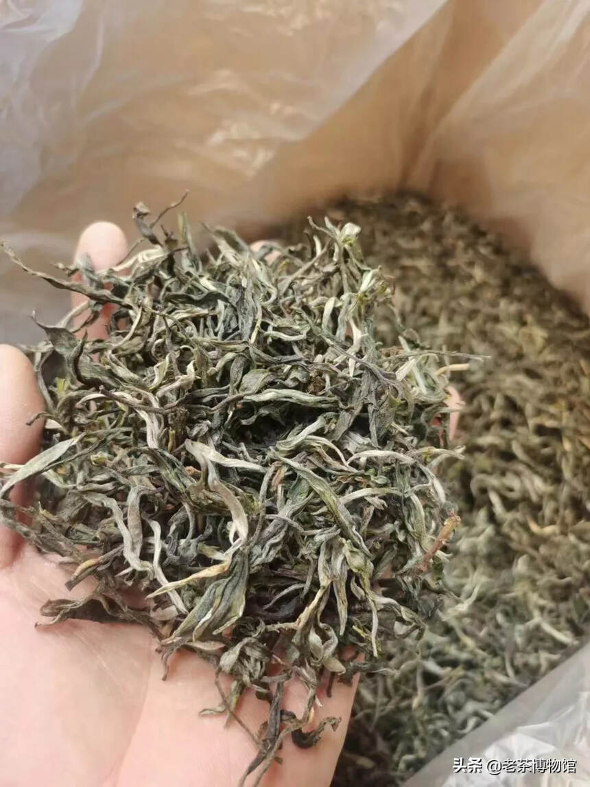 春茶
一件10公斤，冰岛坝歪头春茶，独特的兰花香韵，